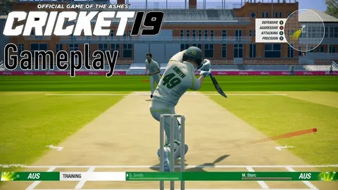 Обзор игры Cricket 19.